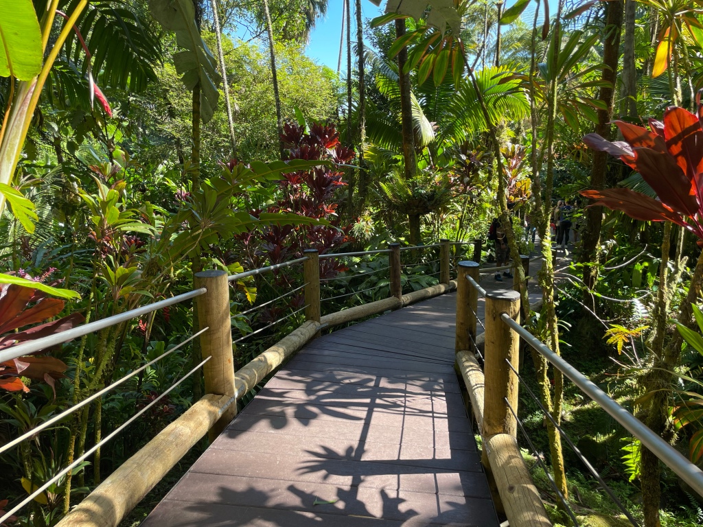 Hawai’i Tropical Bioreserve & Garden – Big Island, Hawai’i