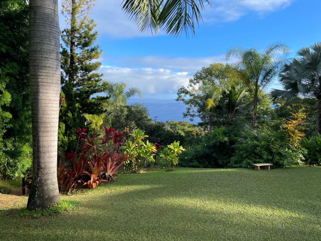 Garden of Eden – Arboretum and Botanical Garden. Maui; Hawai’i